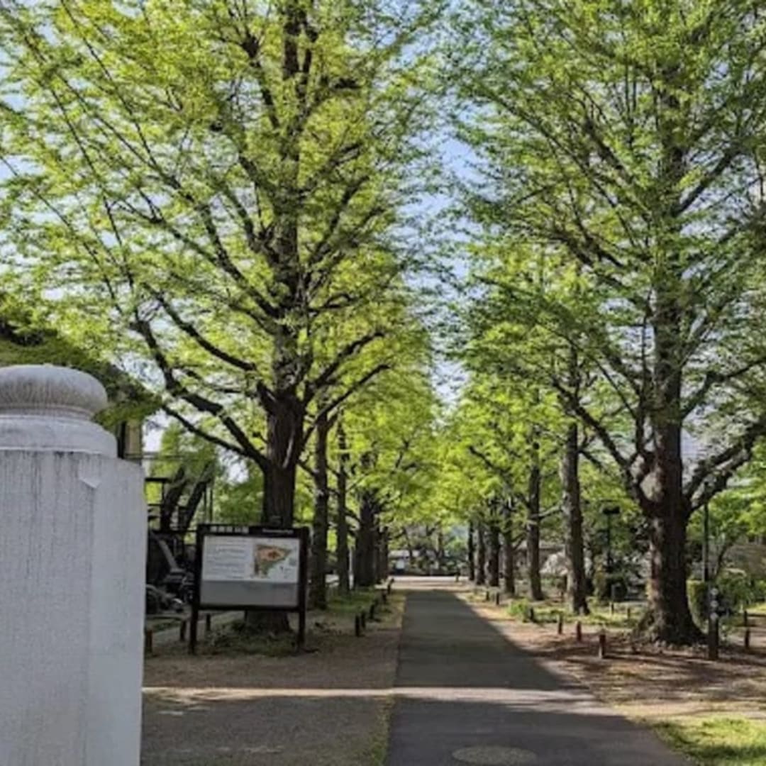 Yokoamicho Park - View 2