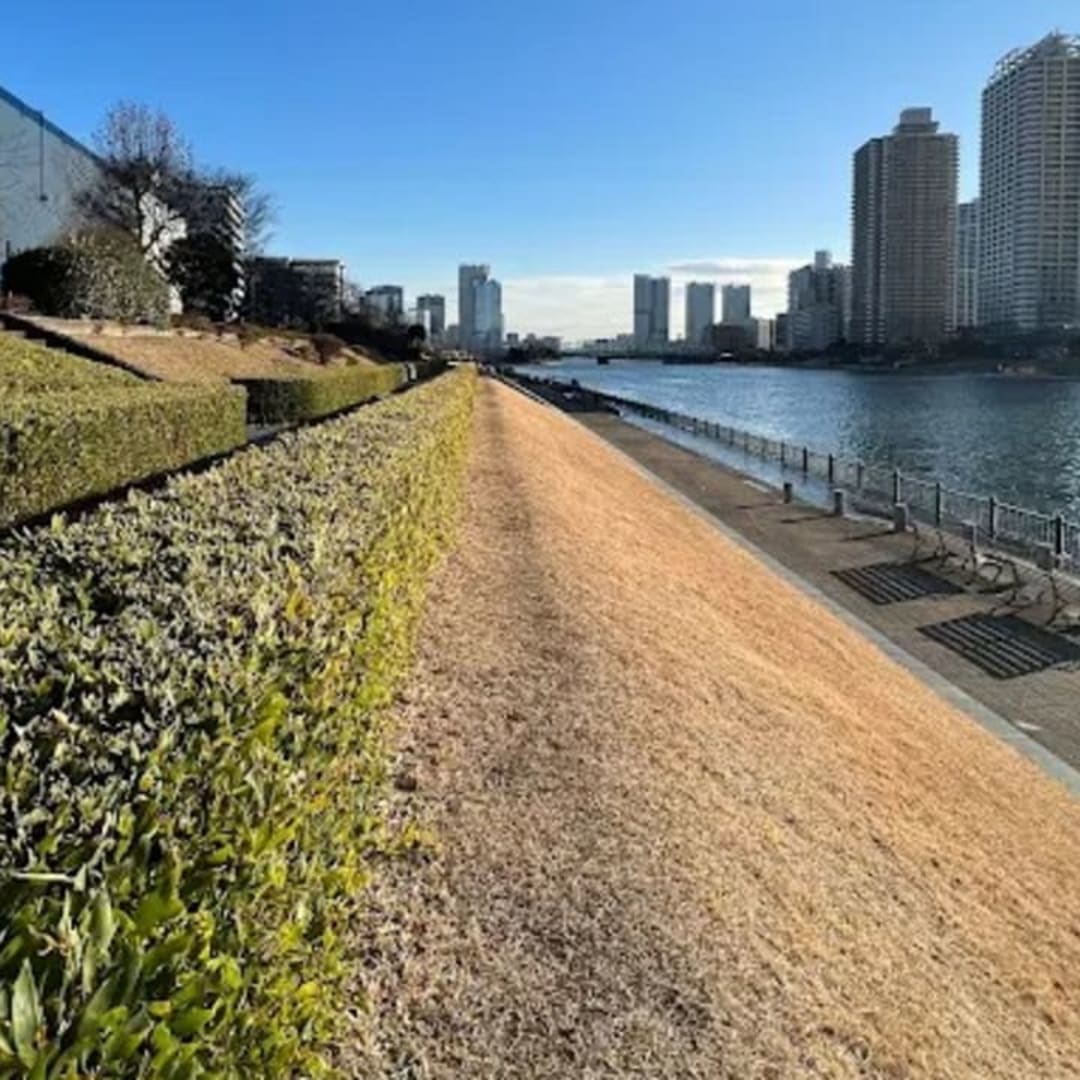 Etchujima Park - View 2