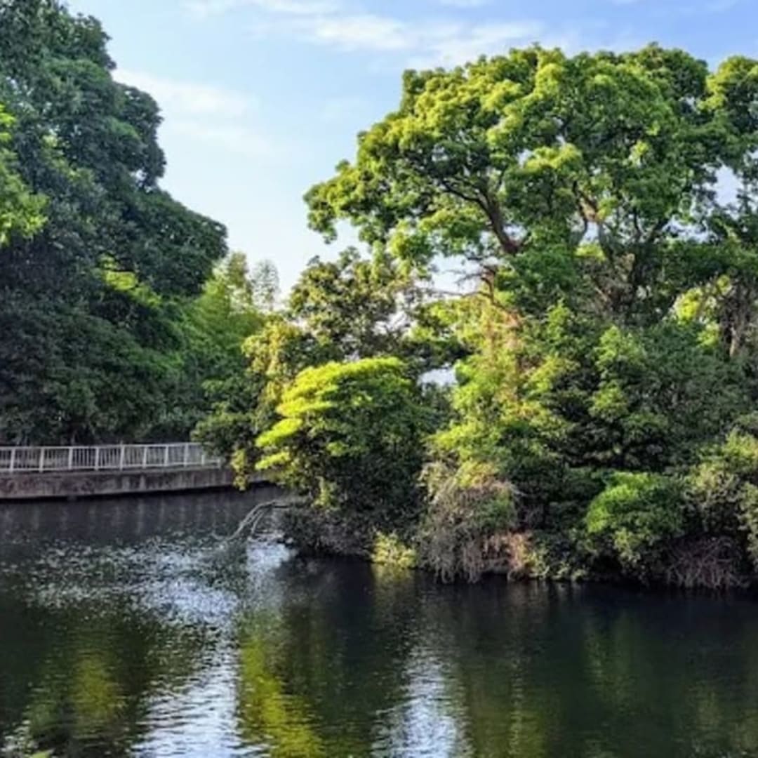 Yokojukken-gawa Shinsui Park - View 1