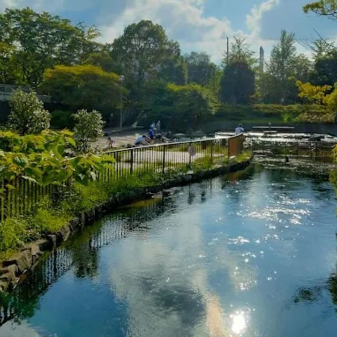 Yokojukken-gawa Shinsui Park - View 2