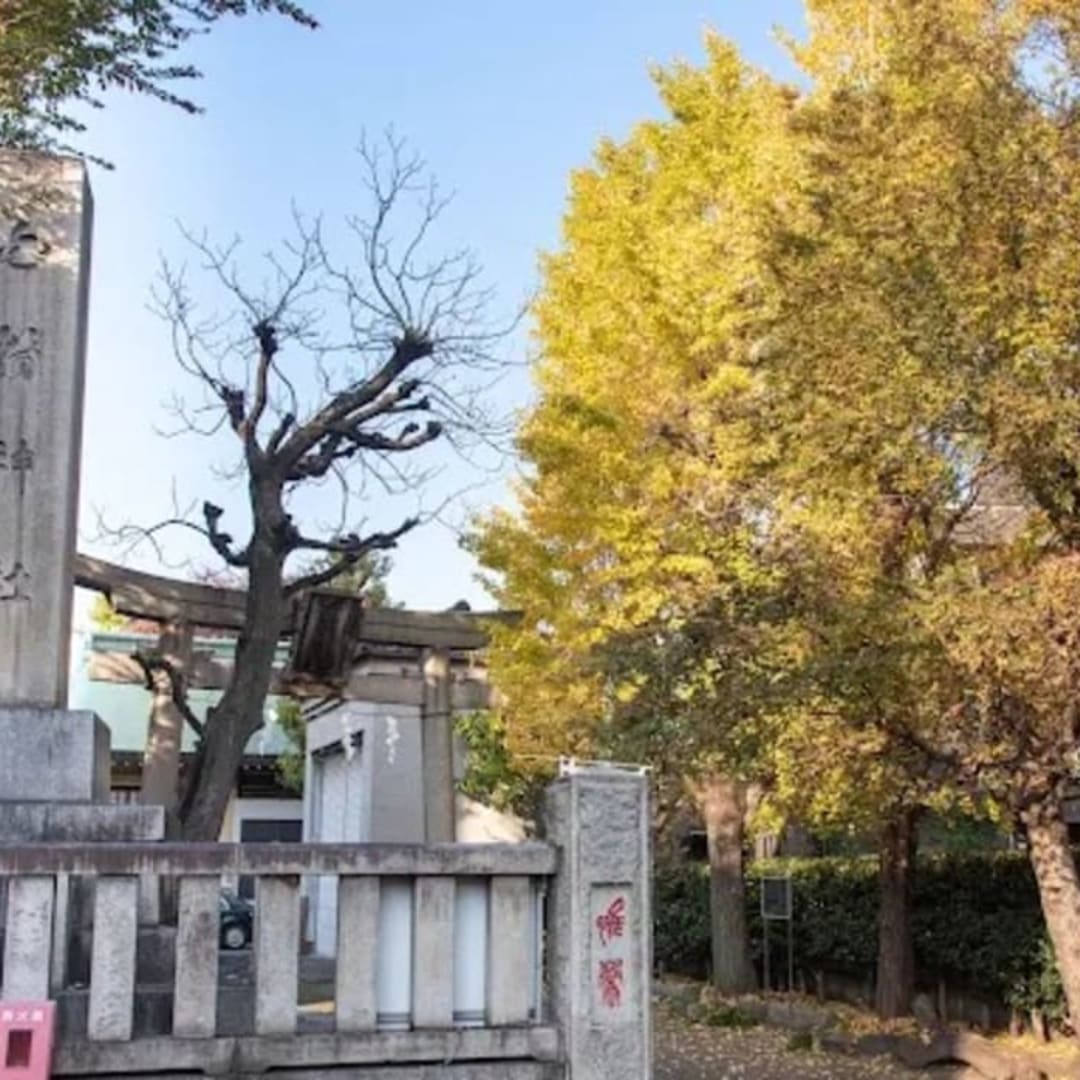 Shirahige Shrine - View 2