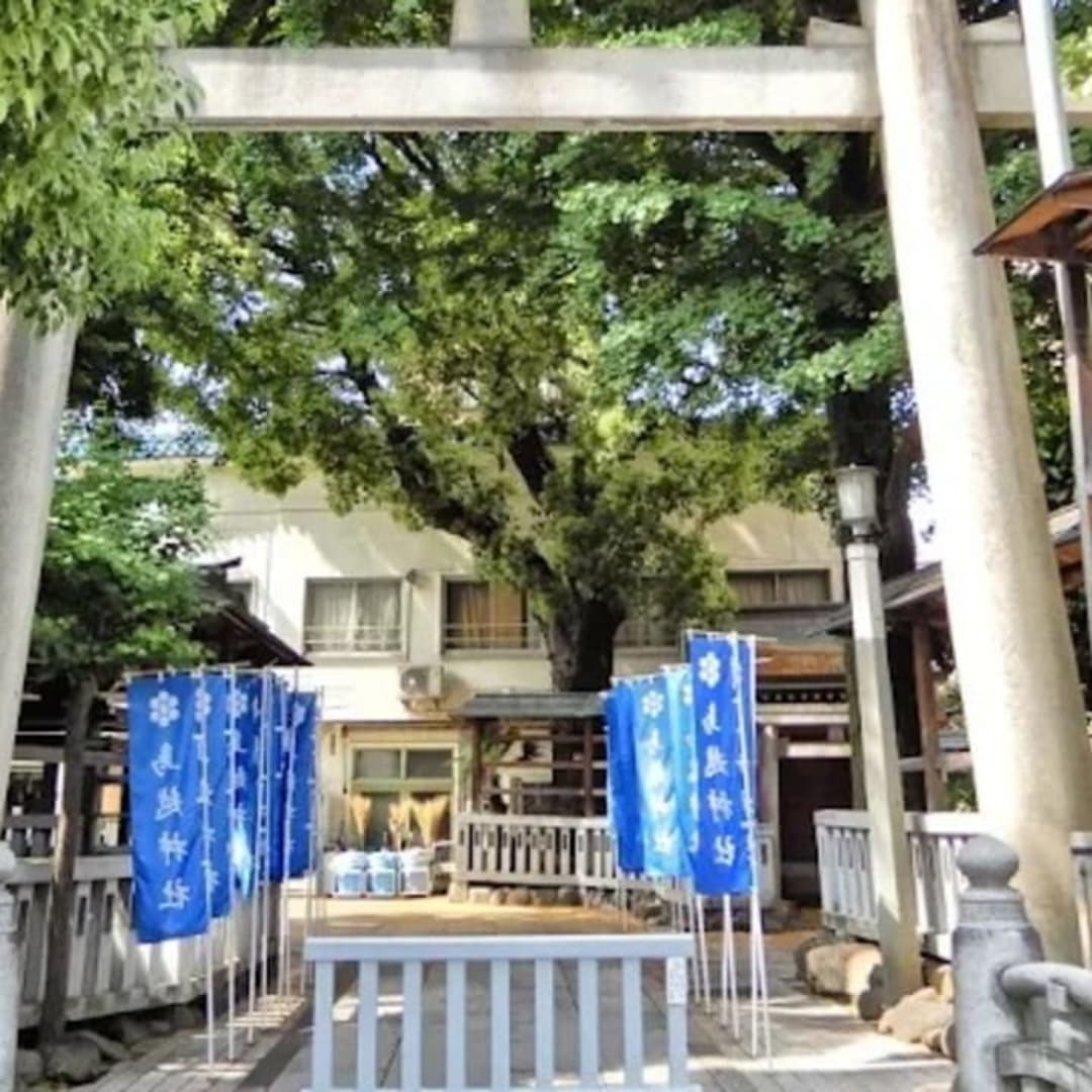 Torikoe Shrine - View 2
