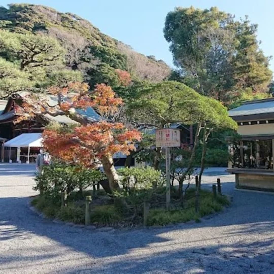 Tsurugaoka Hachimangu - View 1