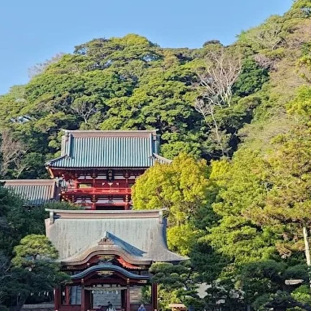 Tsurugaoka Hachimangu - View 2