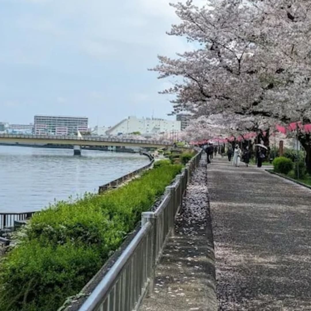 隅田川沿いの歴史とモダンを感じるおさんぽルート - 4