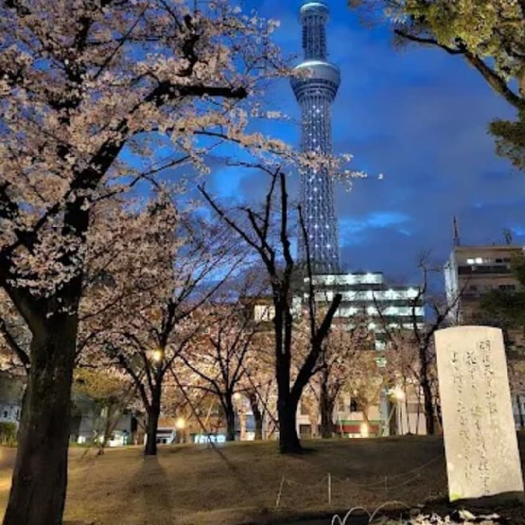 スカイツリーを中心に楽しむ、下町風景と文化体験の散策ルート - 4