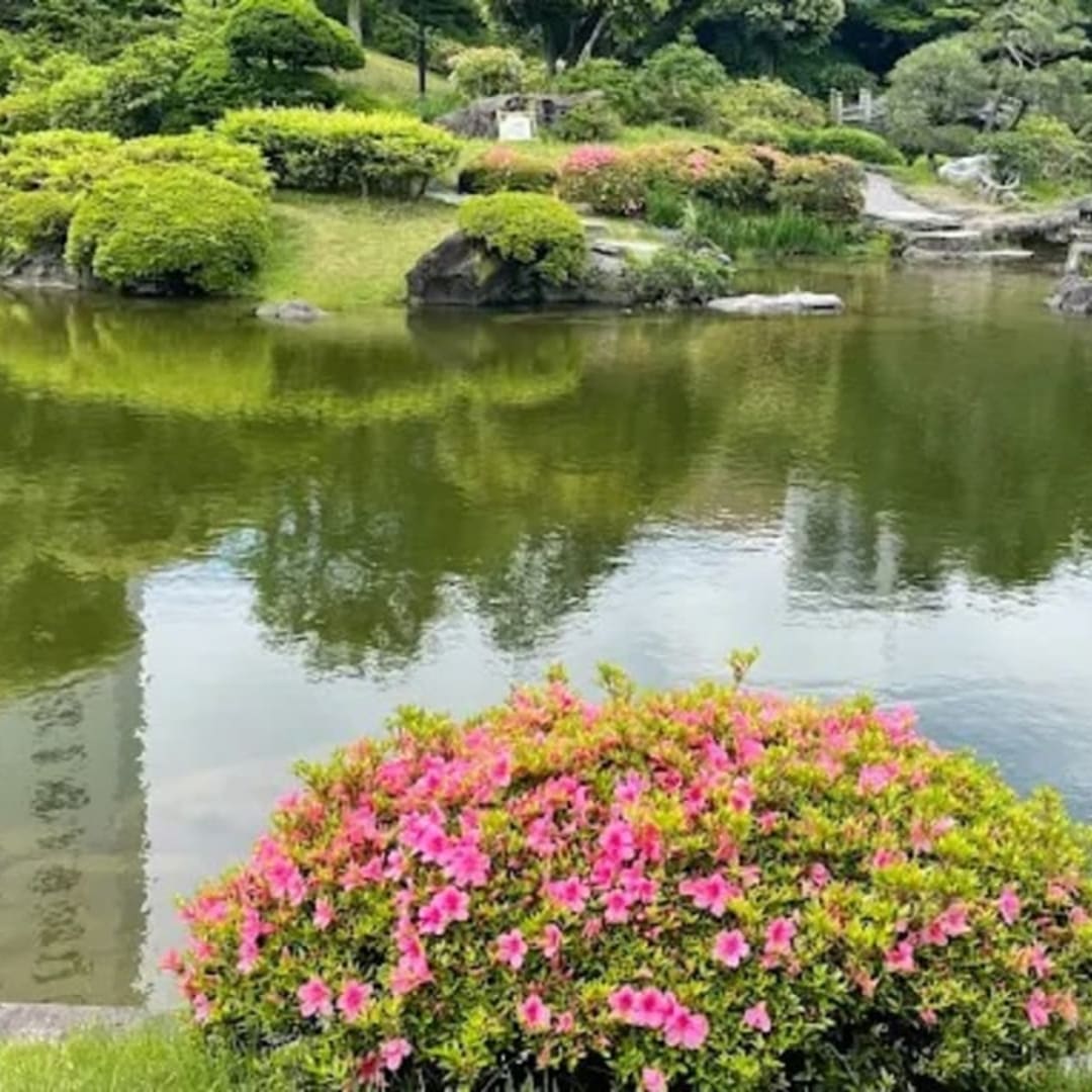 A Deep Cultural Stroll Through Ryogoku – Edo History, Art & Sumo - 3