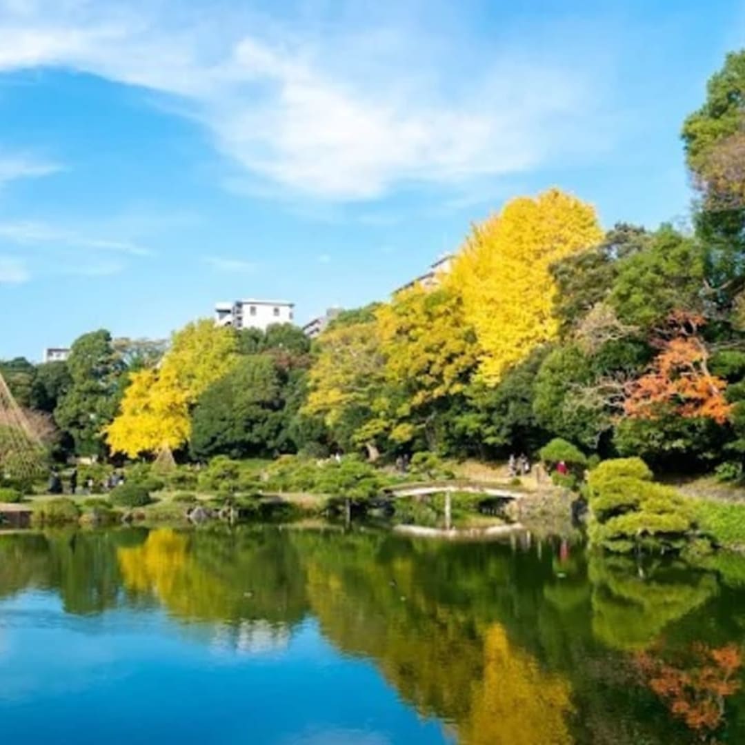 From Kiyosumi-Shirakawa to Monzen-Nakacho: A Walk Through Local Charm and Spiritual Heritage
