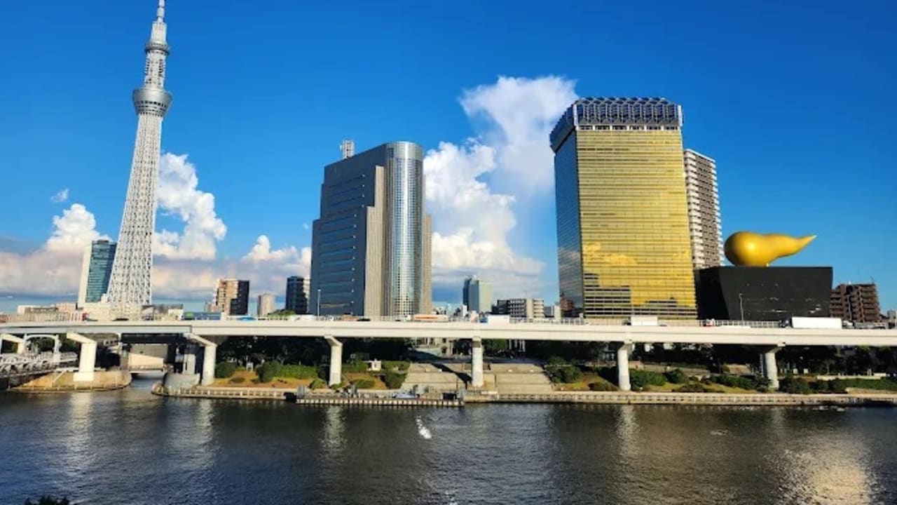 Taito City Sumida Park - View 2