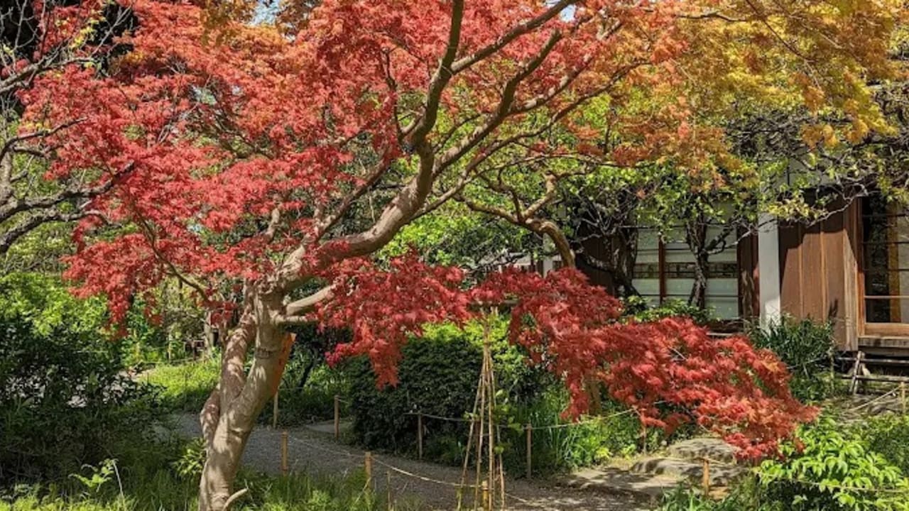 Mukojima Hyakkaen Garden - View 1