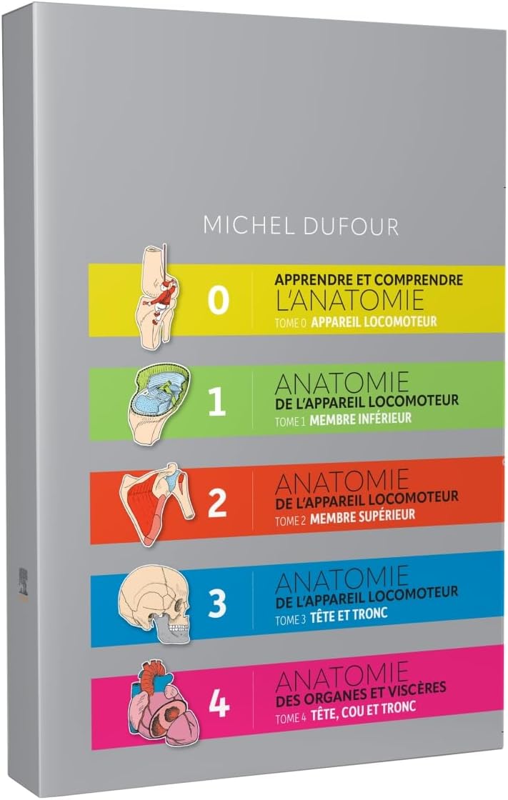 Vue 3 de Atlas Netter Danatomie Humaine