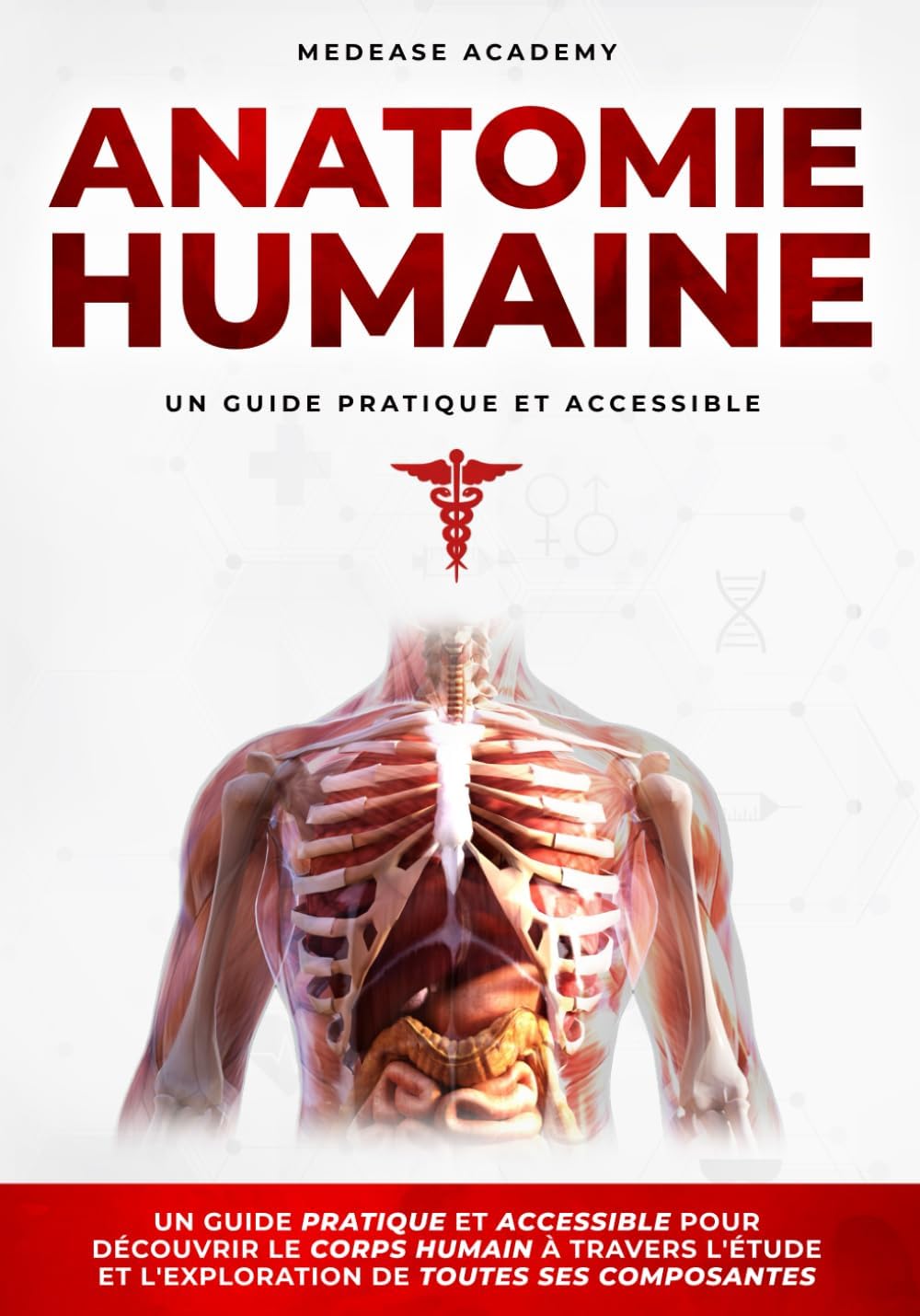 Vue 2 de Anatomie Humaine Descriptive Topographique