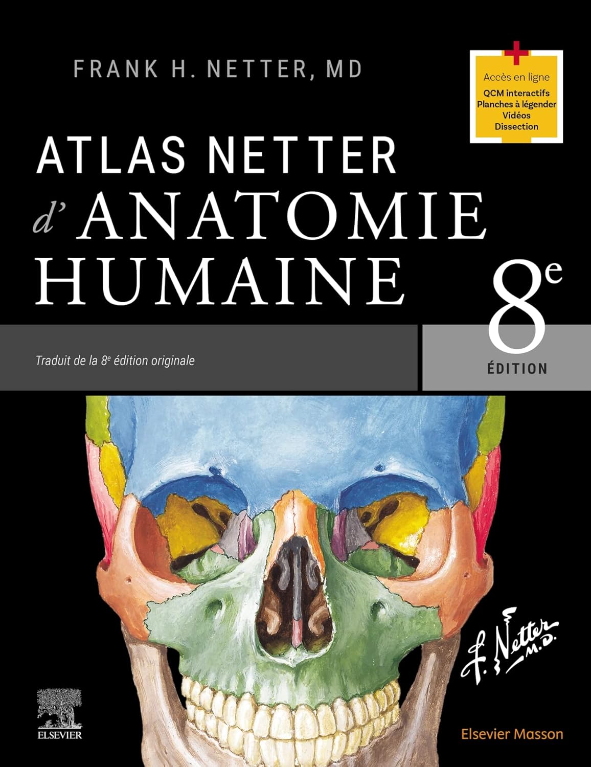 Vue 7 de Memofiches Anatomie Netter Membres