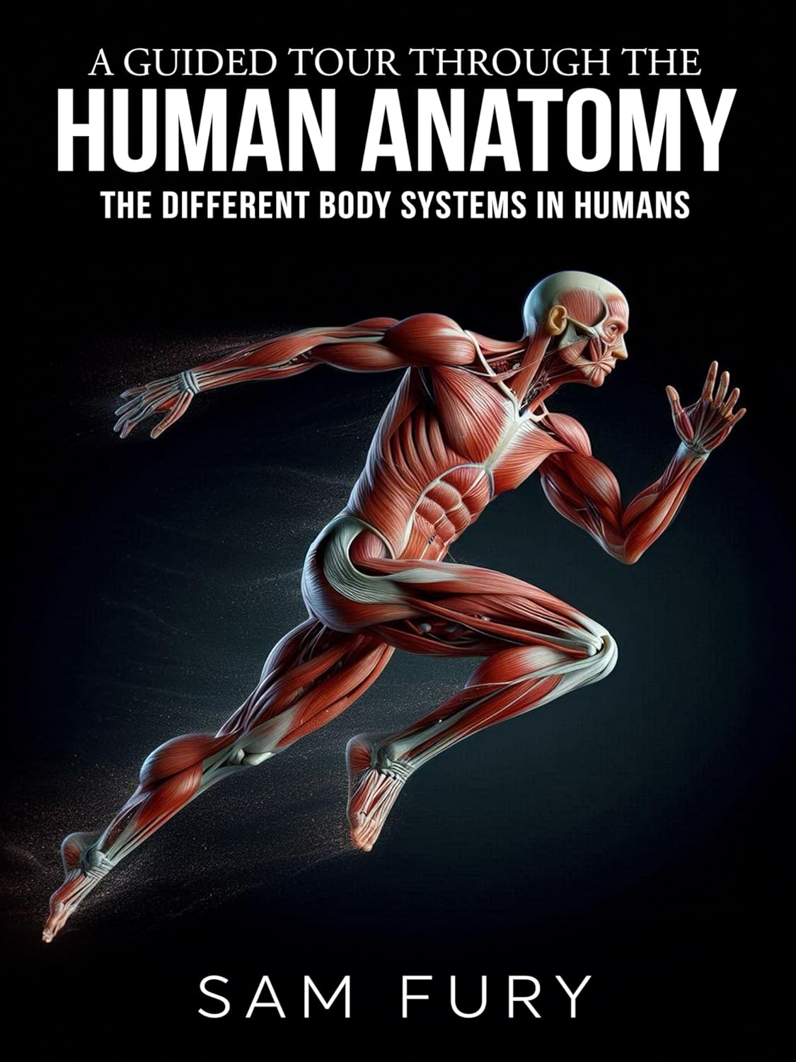 Vue 4 de Grand Atlas Du Corps