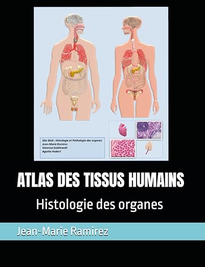 Atlas Des Tissus Humains