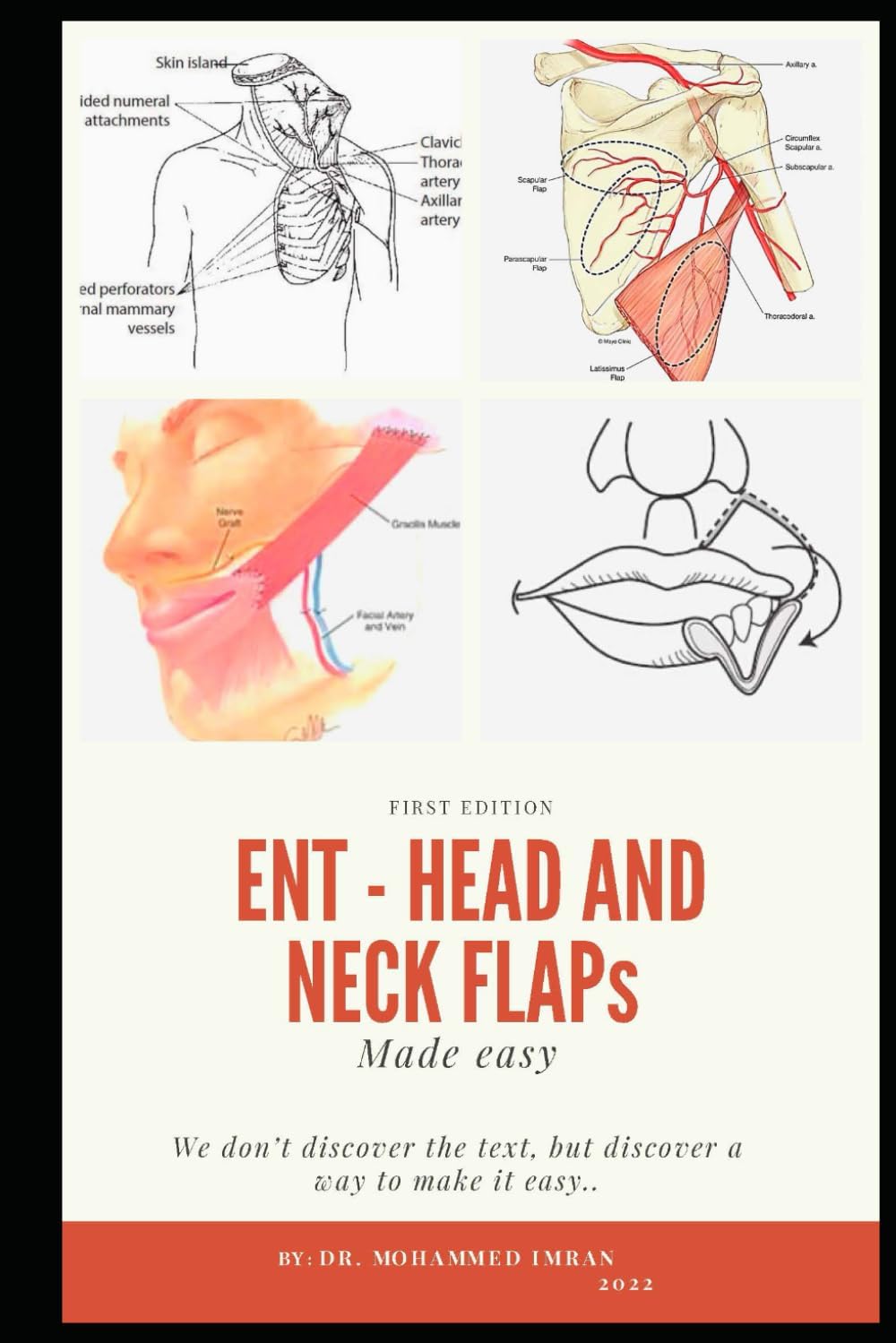 Vue 7 de Atlas Dhistologie Fonctionnelle De