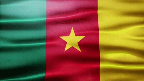Top Business Opportunities in Cameroon for 2025
