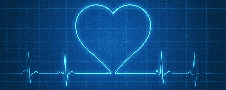 The Health Calculator API