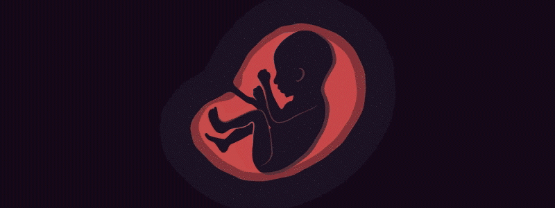 Pregnancy Calculator API