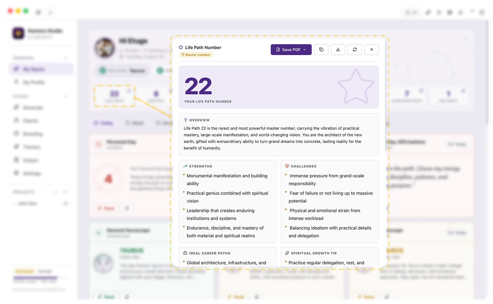 Numora Studio desktop app