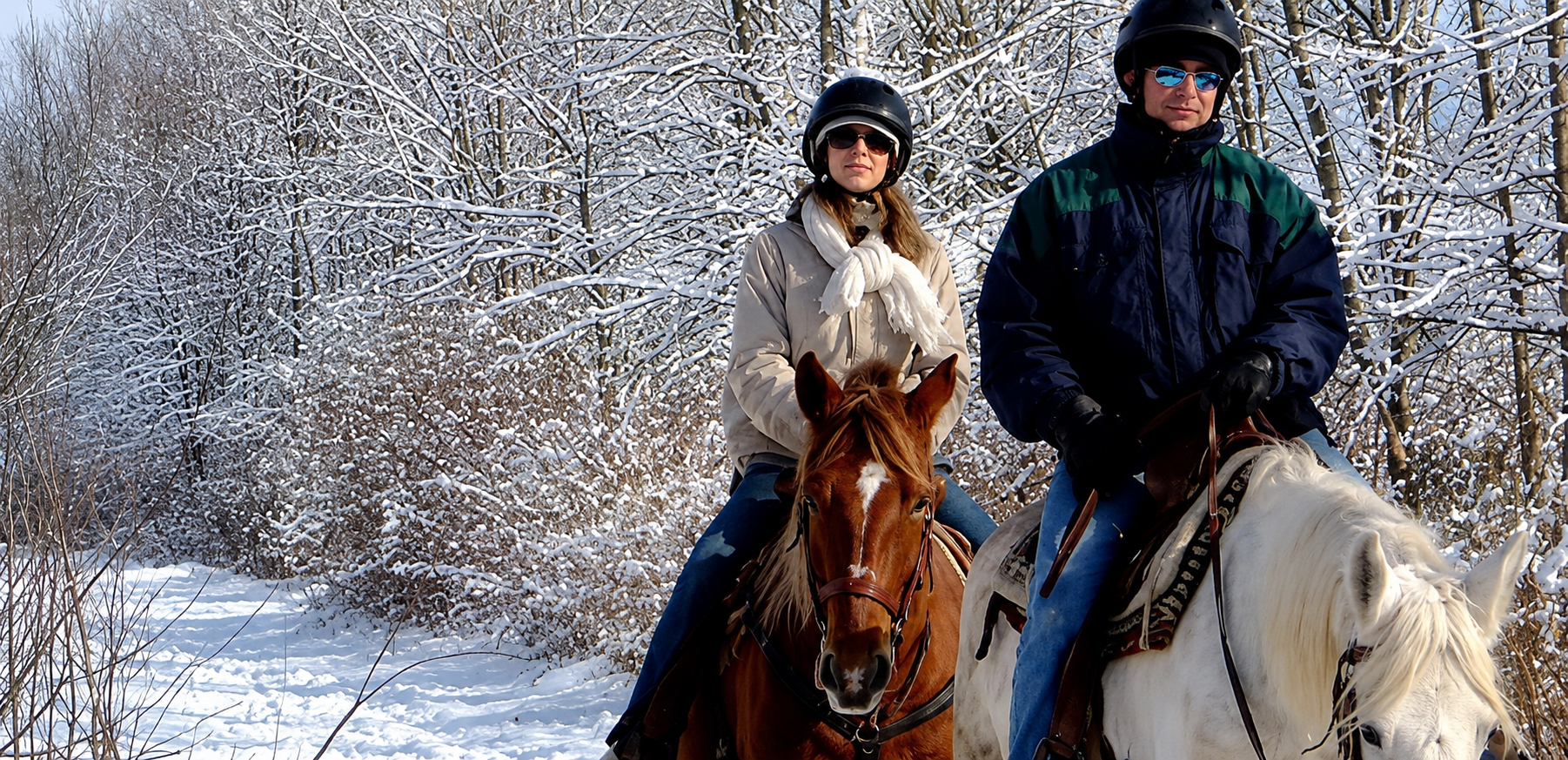 Honeymoon Special Packages