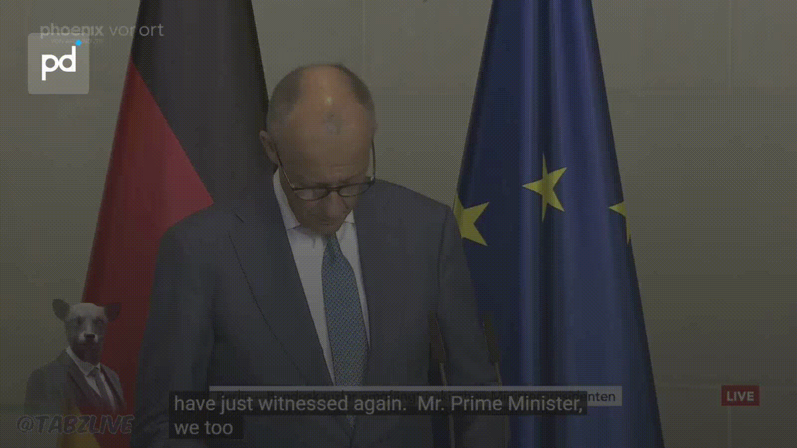 Germany's Merz Blames Houthis for Worsening European Energy Crisis
