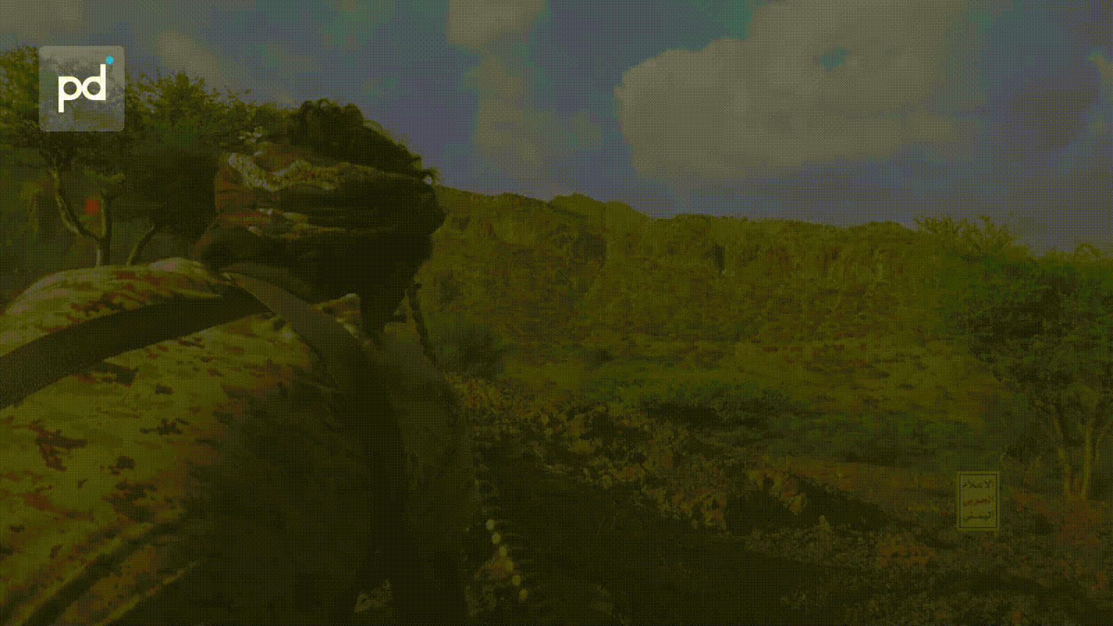 Houthis Encircle Taiz, Cut Road to Aden as Yemen Civil War Reignites