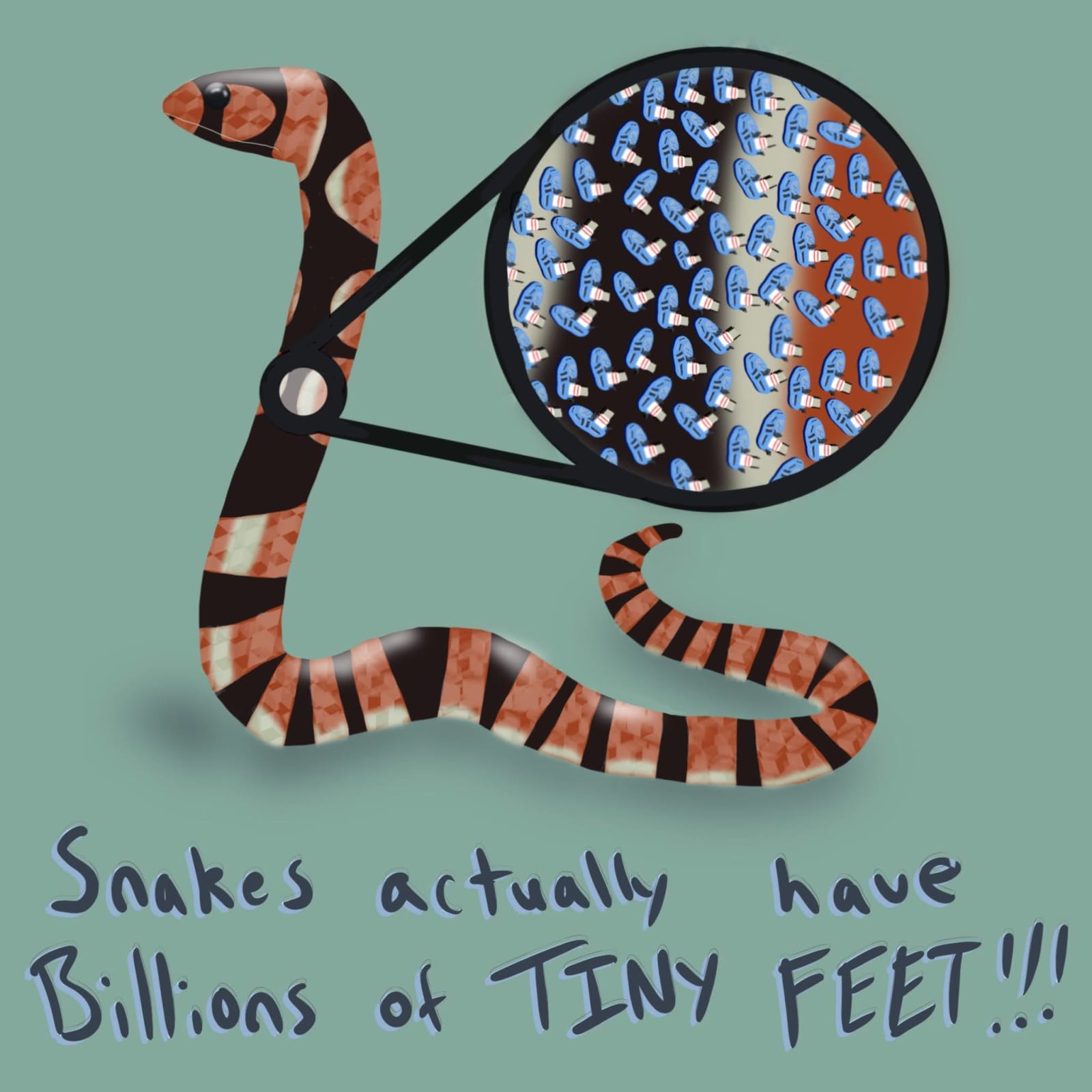 Artwork titled “Snakes actually have billions of tiny feet”
