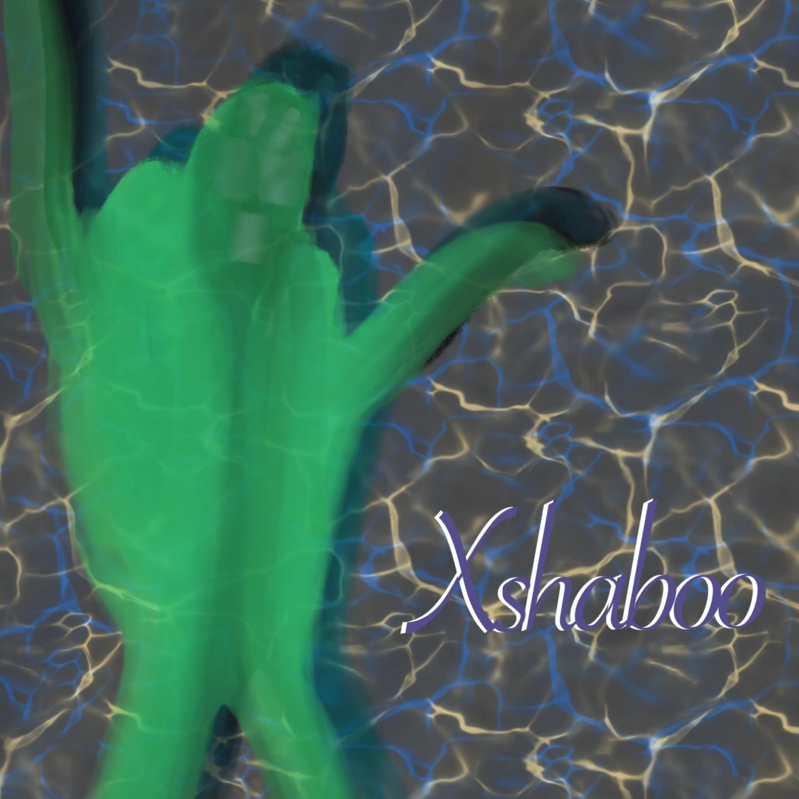Artwork titled “Xshaboo”