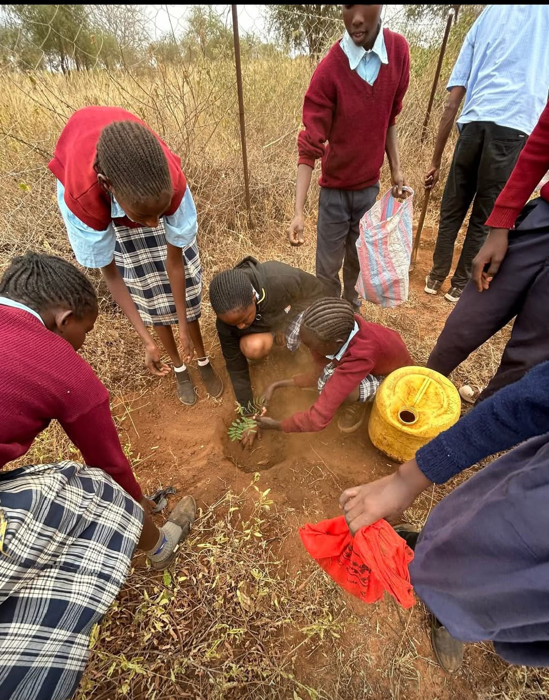 Kiboko Green Initiative Project - Photo 7