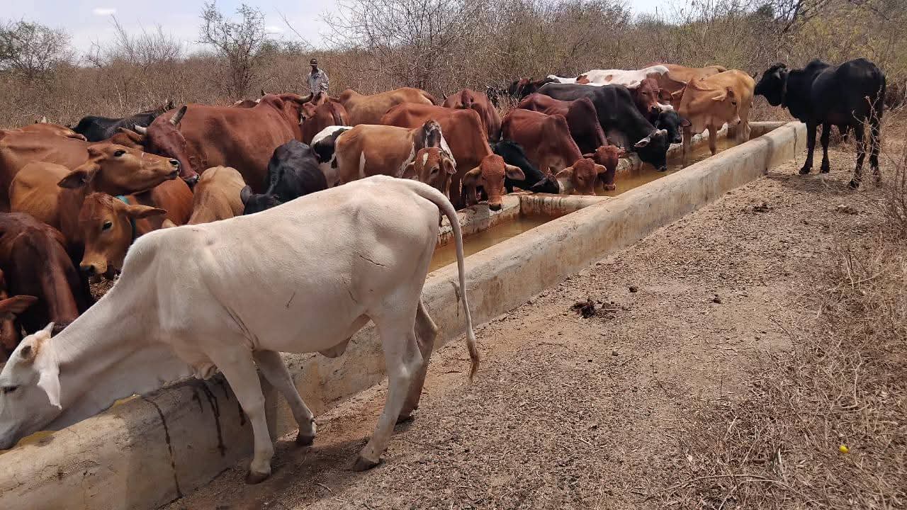 Oltukai Primary School Borehole Project - Photo 2