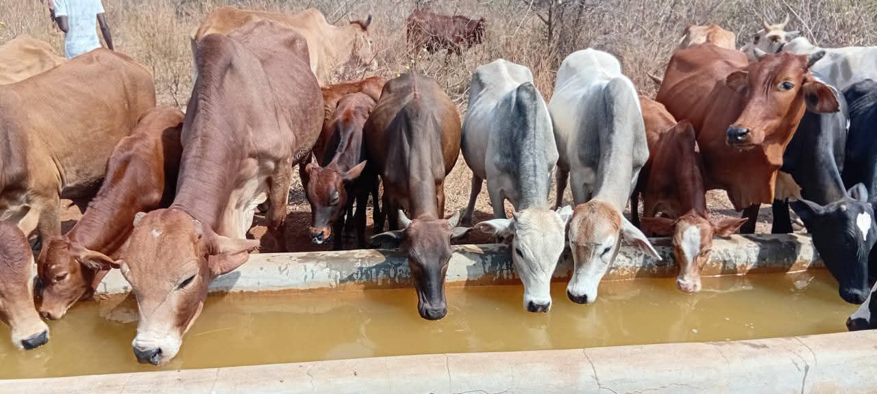 Oltukai Primary School Borehole Project - Photo 1