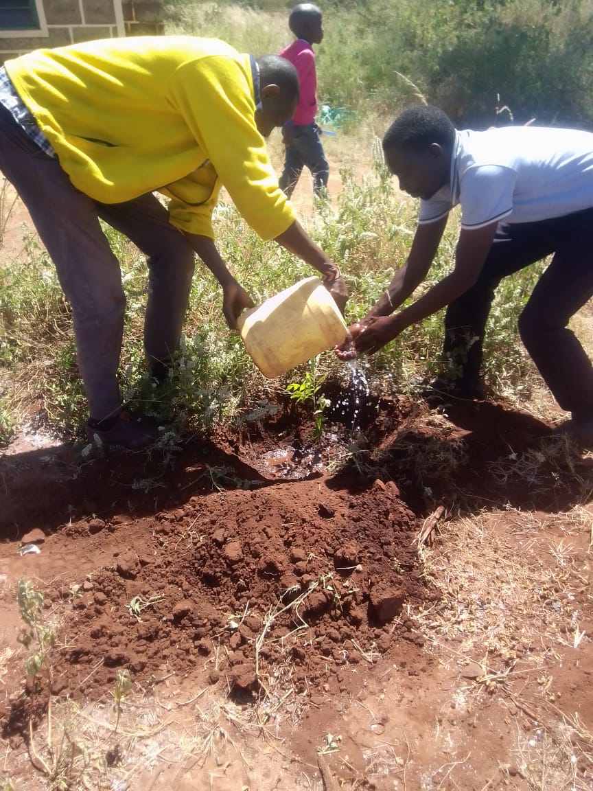 Kiboko Green Initiative Project - Photo 13
