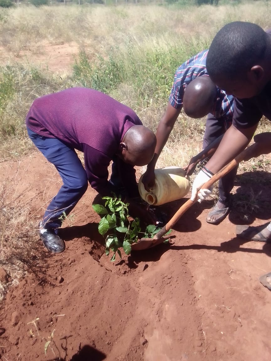 Kiboko Green Initiative Project - Photo 10