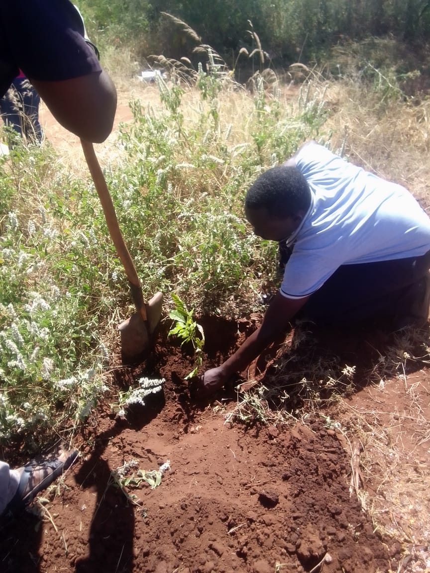 Kiboko Green Initiative Project - Photo 11