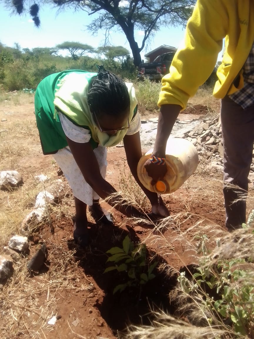 Kiboko Green Initiative Project - Photo 9