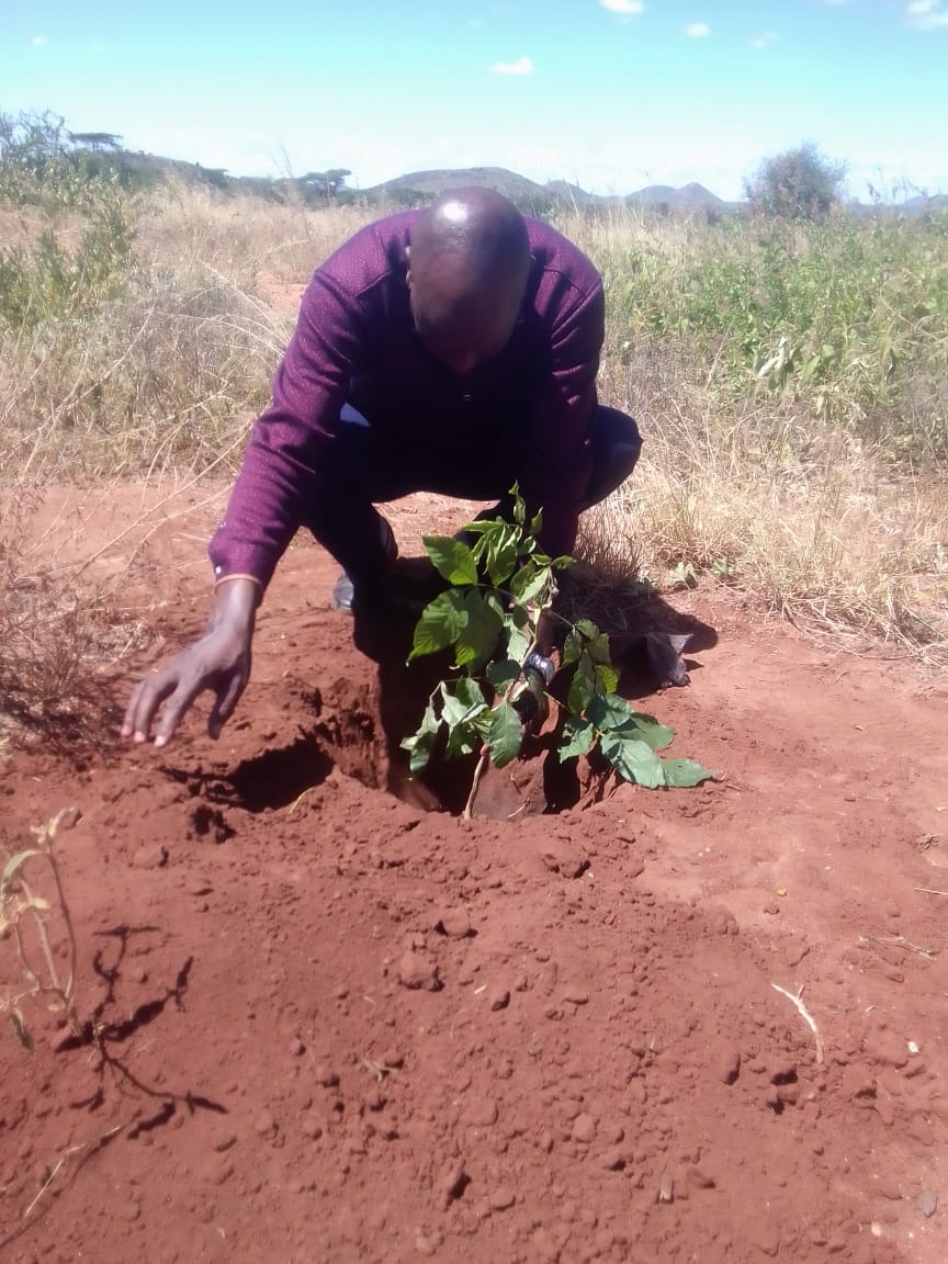 Kiboko Green Initiative Project - Photo 8