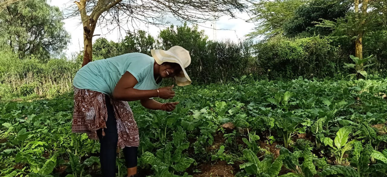 Regenerative Agriculture (Horticulture) - Photo 4