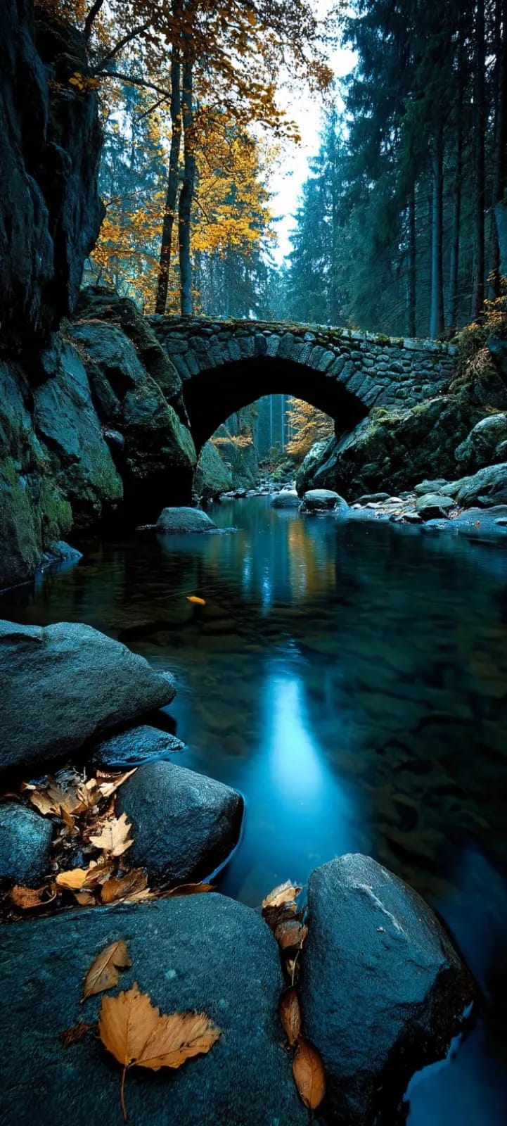 Post image for ANSWER PLEASE 🙏 😢 😔 