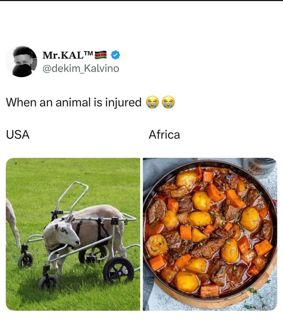 Post image for Exactly 💯 