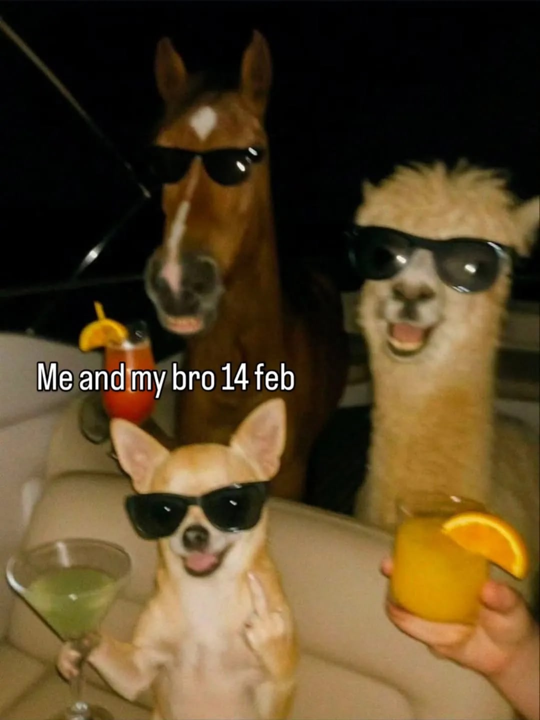 Post image for 😅😅😅