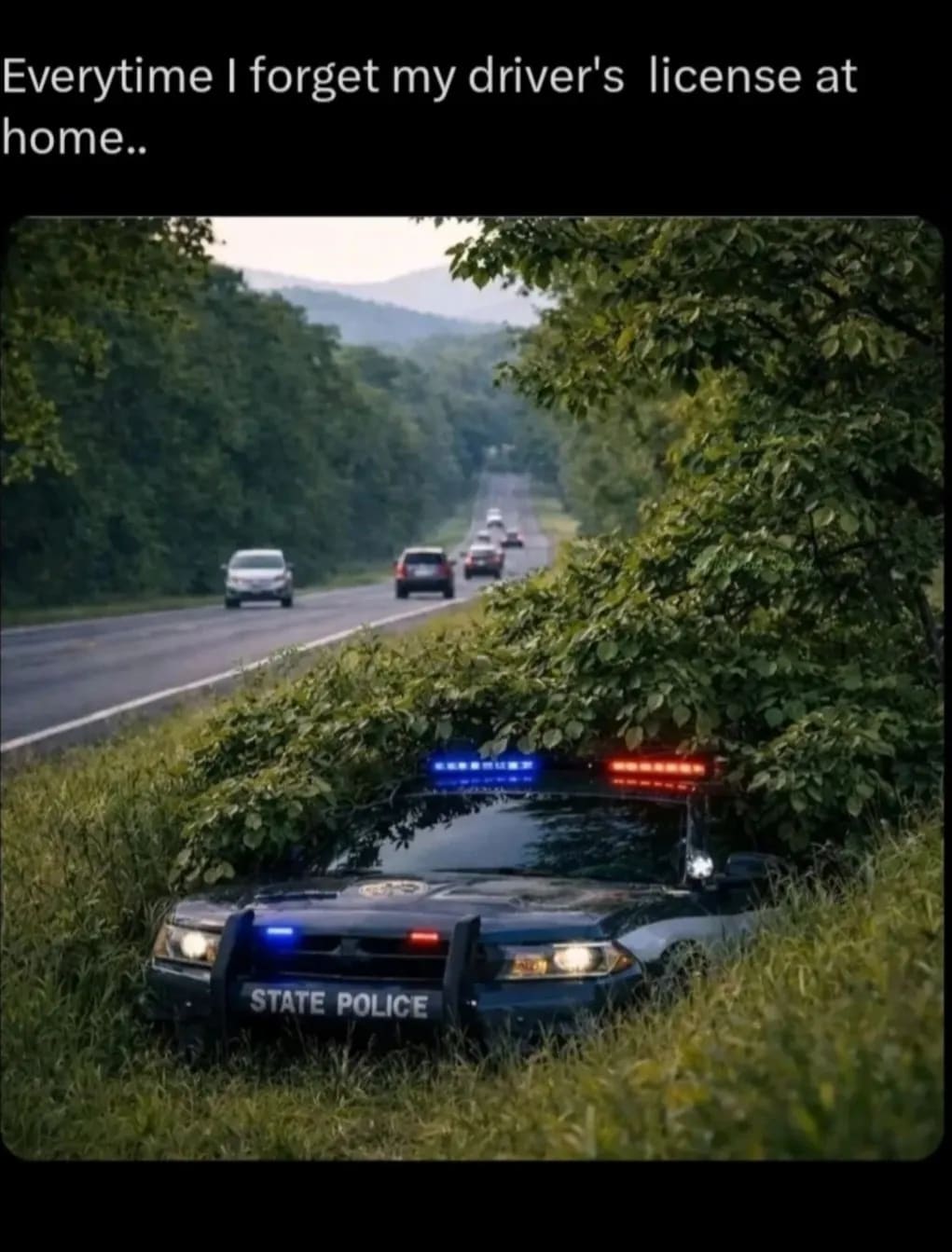 Image 1 for Wholesome memes