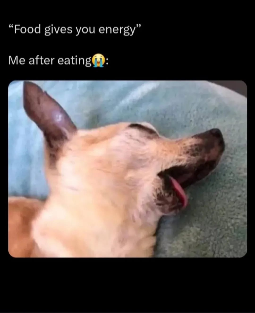 Image 6 for Wholesome memes 2