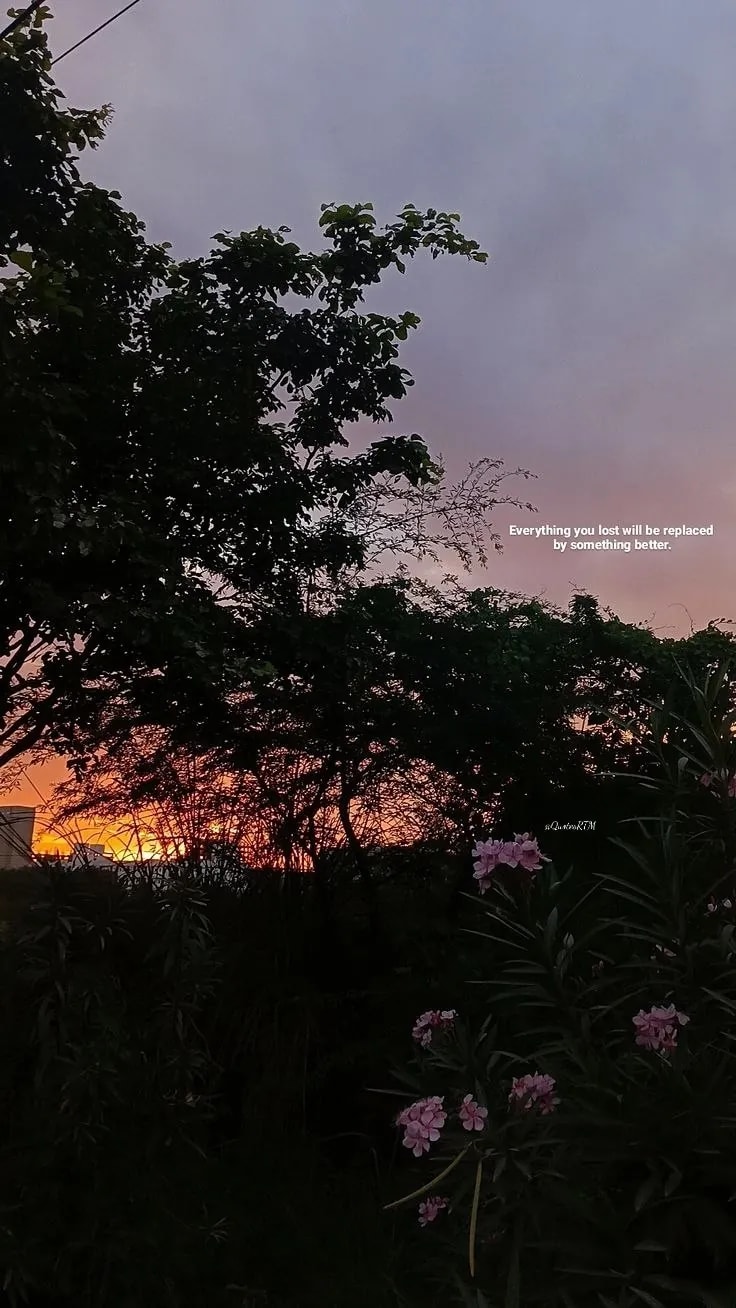 Image 5 for Random motivations