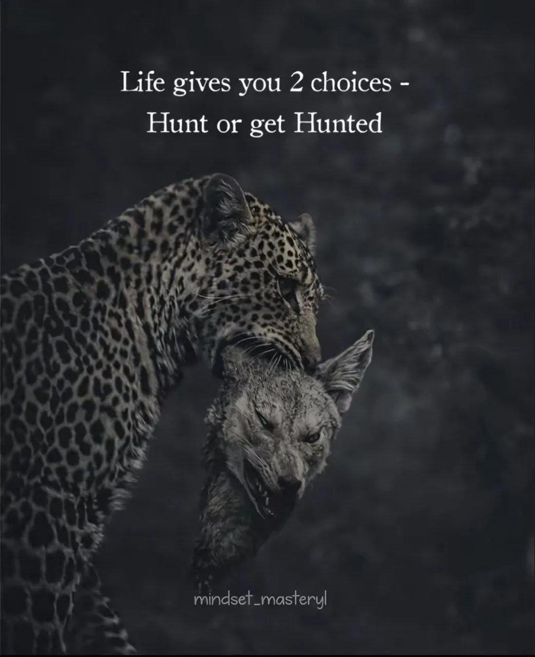 Image 7 for Random motivations