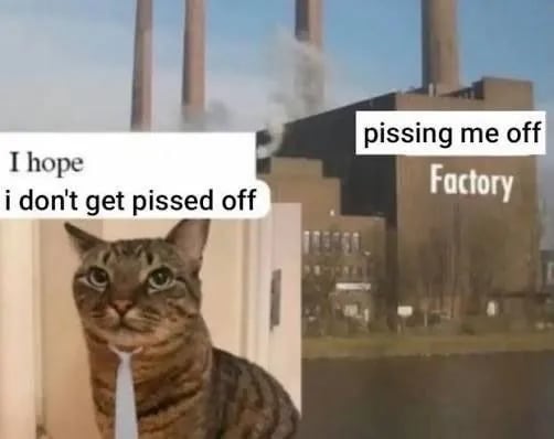 Thumbnail for Programmer's memes