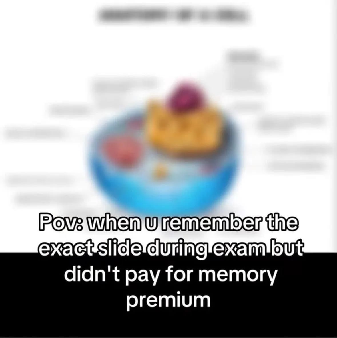 Image 2 for Memes