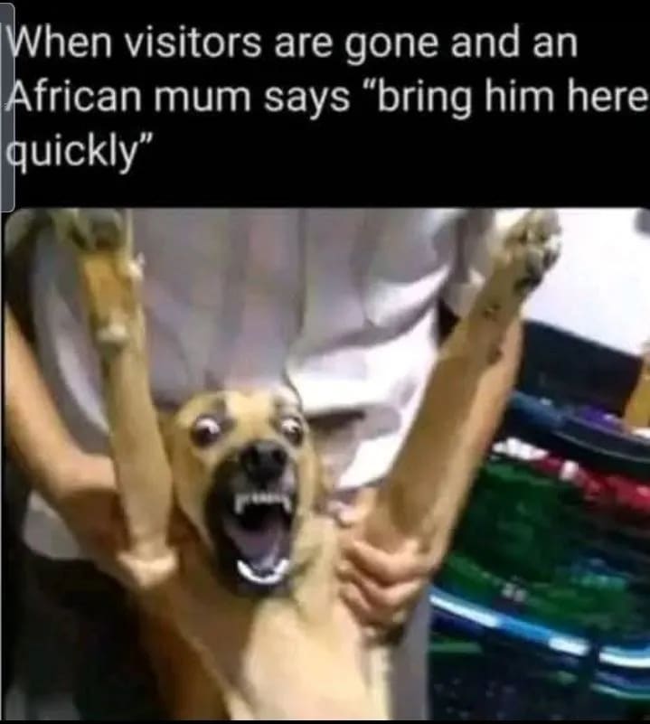 Thumbnail for Memes