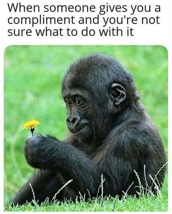 Image 3 for Memes