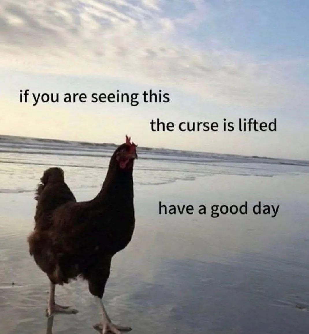Image 4 for Memes